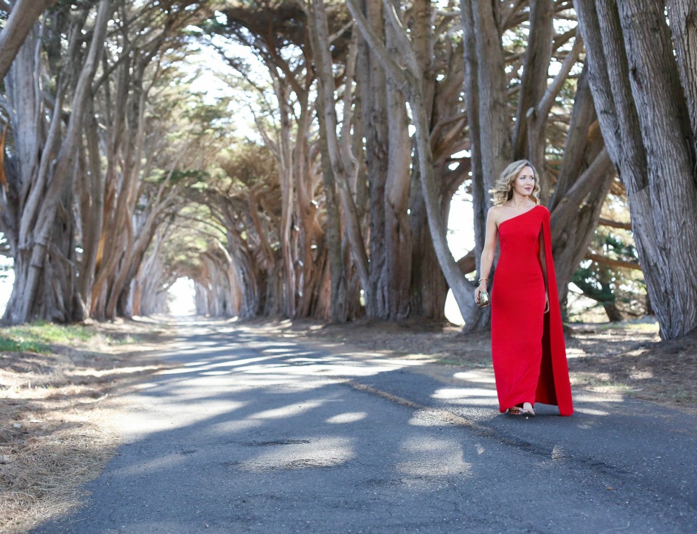 1 red-one-shoulder-carolina-jill-stuart-gown-rent-the-runway-cape-fur-black-tie-office-work-formal-party-holiday-attire-mary-orton