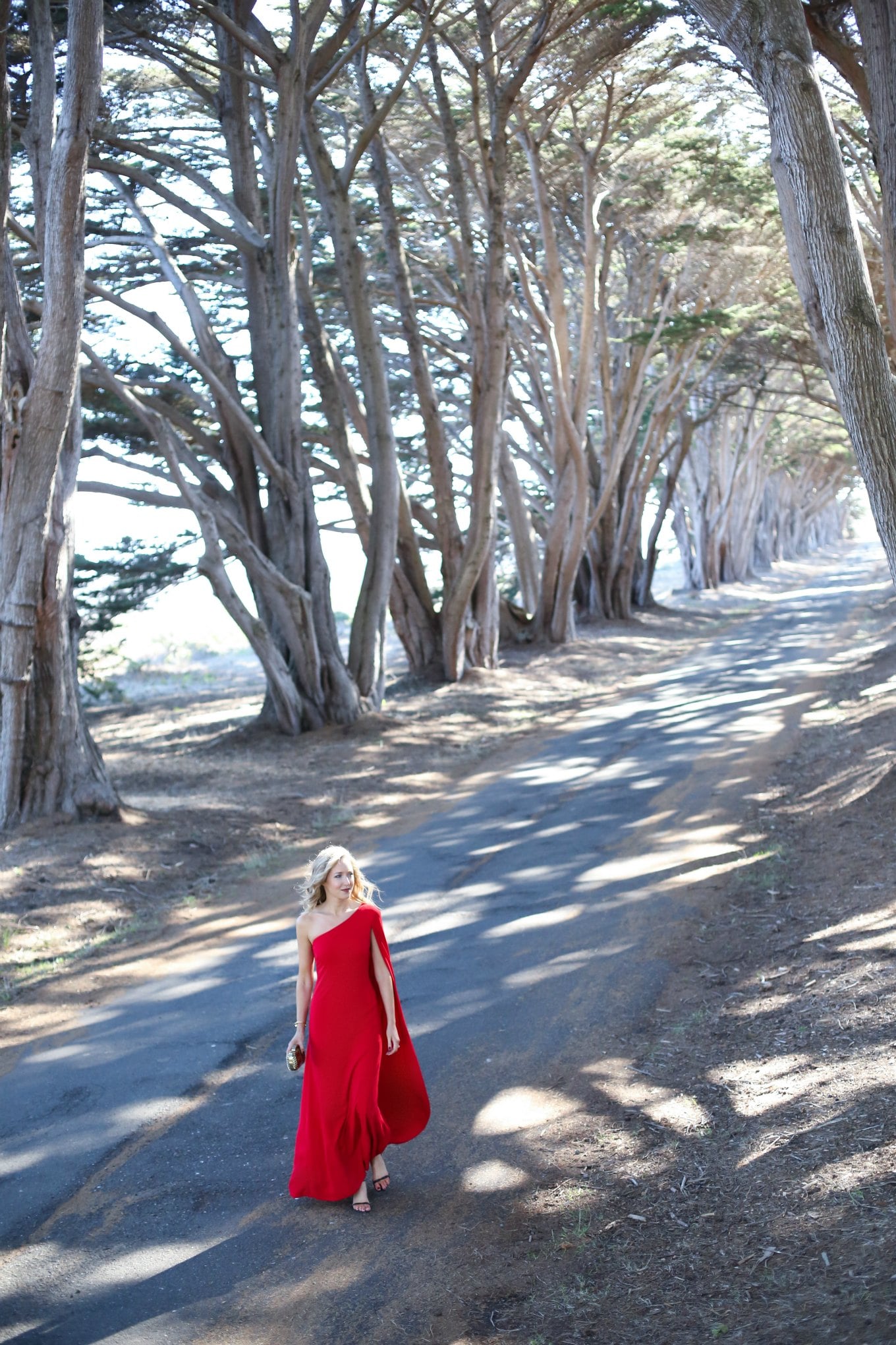 red holiday gown