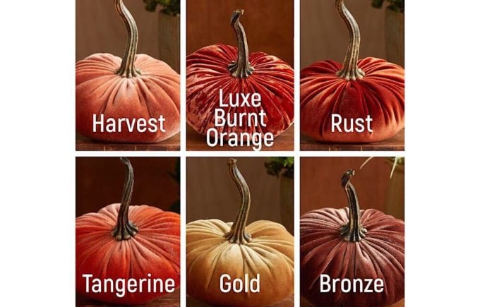 Velvet Pumpkins + Monday Memo No. 106